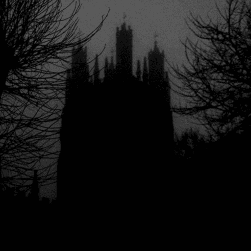 The Gothic Castle