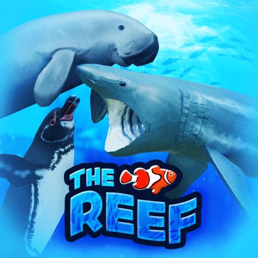 🐬THE REEF🦈 - Shark, Fish, Dolphin 