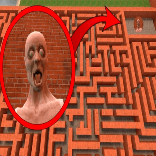 Maze to VIP Obby🏃